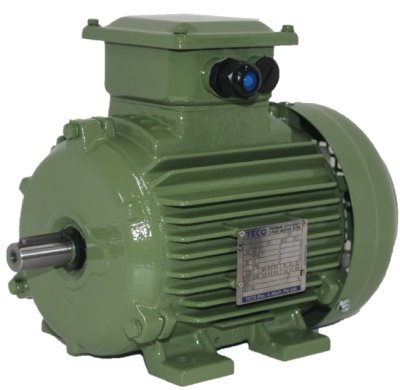 TECO MOTOR  TYPE :   AESV-AESU (TEFC) AC 3-Phase