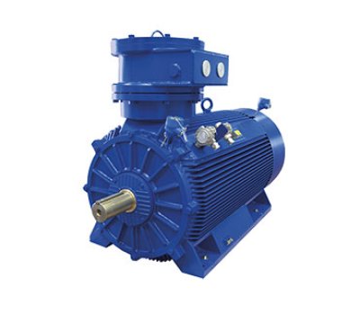 MarelliMotor Explosion Proof Motor  MOTORS IE1 - IE2