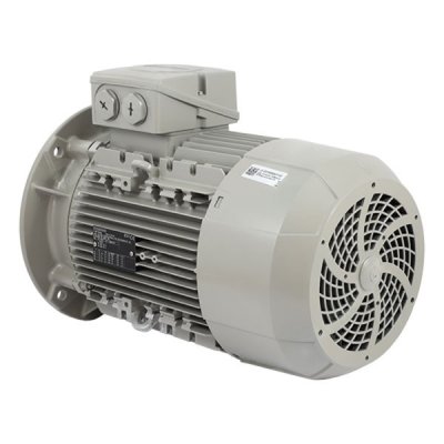 Innomotics (Siemens) มอเตอร์ซีเมนต์ ขนาด 60 แรงม้า 4 โพล หน้าแปลน B5 IE2