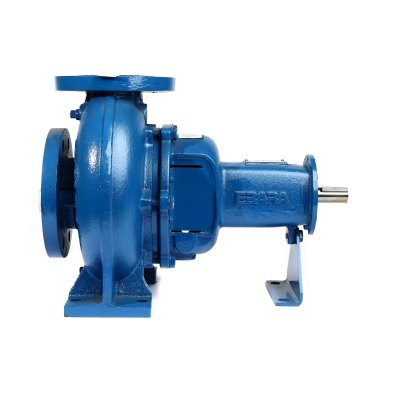 GS 100-250 ปั๊มเพลาลอย ไม่รวมหน้าแปลน