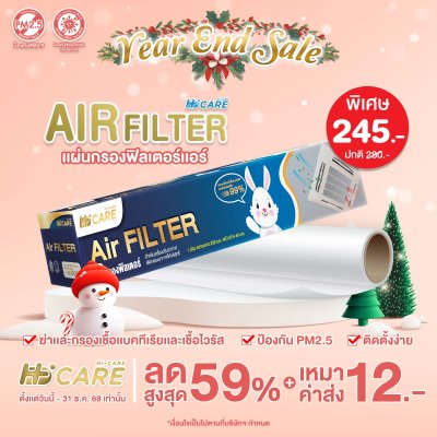 Hi-Care Air Filter แผ่นกรองฟิลเตอร์(สำหรับเครื่องปรับอากาศ) หน้ากว้าง 40 CM. ยาว 250 CM.