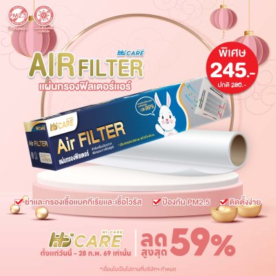 Hi-Care Air Filter แผ่นกรองฟิลเตอร์(สำหรับเครื่องปรับอากาศ) หน้ากว้าง 40 CM. ยาว 250 CM.