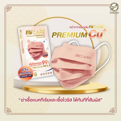 Hi-Care Premium Grade Copper หน้ากากอนามัยหนาพิเศษ (รองรับ PM2.5 กรองเชื้อโรค) แผ่นกรอง 3 ชั้น ชนิดคล้องหู / 10 ชิ้น