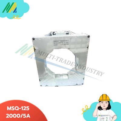 PTEN-CT เคอร์เร้นท์ MSQ