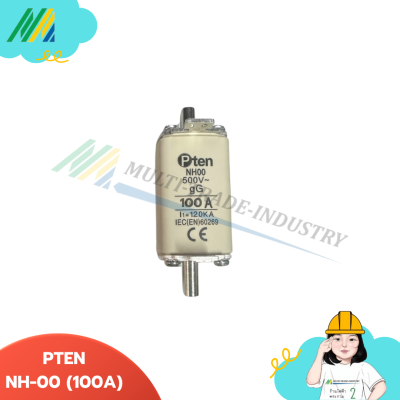 PTEN - ฟิวส์ใบมีด fuse link