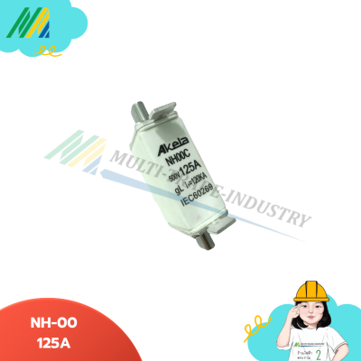 AK NH00 ฟิวส์ใบมีด Akela Fuse link