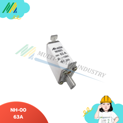 AK NH00 ฟิวส์ใบมีด Akela Fuse link