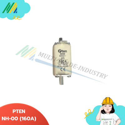 PTEN - ฟิวส์ใบมีด fuse link