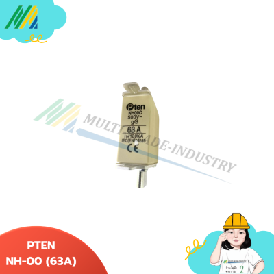 PTEN - ฟิวส์ใบมีด fuse link