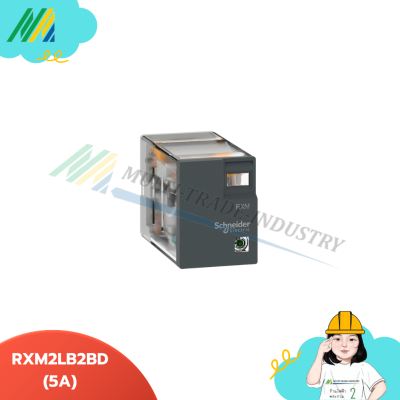 RXM2LB2BD - Relay 2 Cont 5A Coil24Vdc with LED