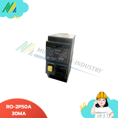 เมนเบรกเกอร์กันดูด RO-2Pole - รุ่น Chang