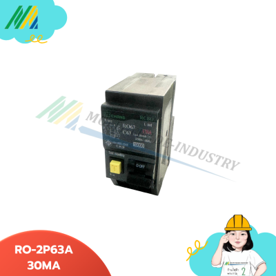เมนเบรกเกอร์กันดูด RO-2Pole - รุ่น Chang