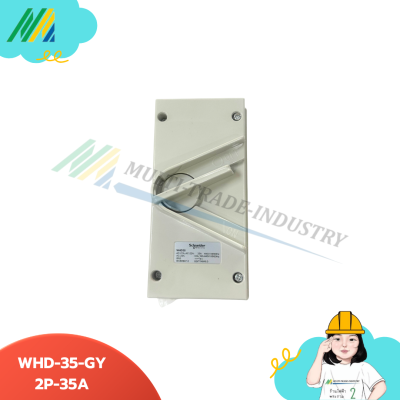WHD20-GY-Isolator switch IP66-2Pole - Schneider