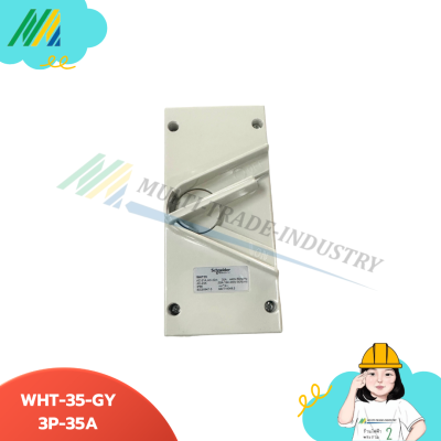WHT20-GY Isolator switch IP66 3Pole - Schneider