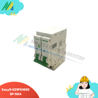 เมนเบรกเกอร์ Easy9-Plug-on-2Pole - รุ่น Schneider