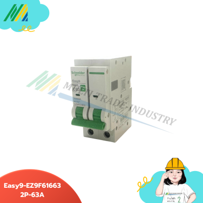เมนเบรกเกอร์ Easy9-Plug-on-2Pole - รุ่น Schneider