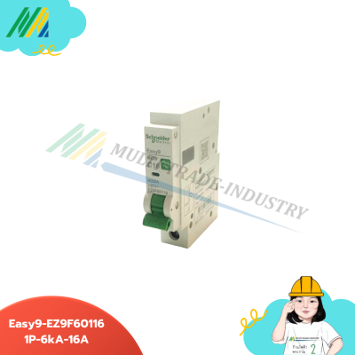 เมนเบรกเกอร์ Easy9-Plug-on-1Pole - รุ่น Schneider