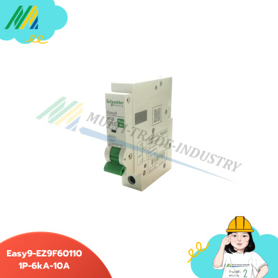 เมนเบรกเกอร์ Easy9-Plug-on-1Pole - รุ่น Schneider