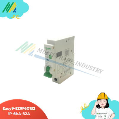 เมนเบรกเกอร์ Easy9-Plug-on-1Pole - รุ่น Schneider