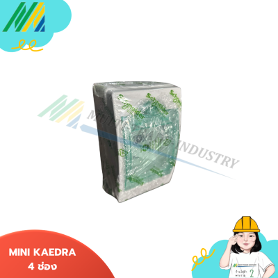 ตู้กันน้ำ MINI KAEDRA ใส่เบรกเกอร์ชนิดเกาะราง - รุ่น Schneider