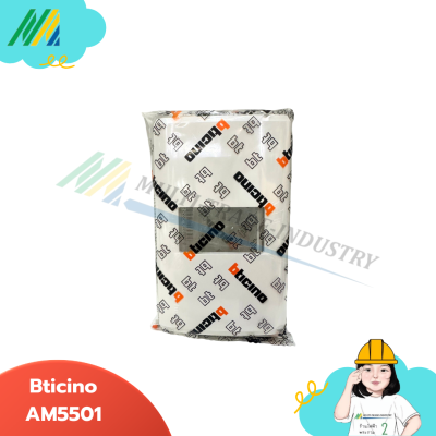 Cover Plate - Bticino