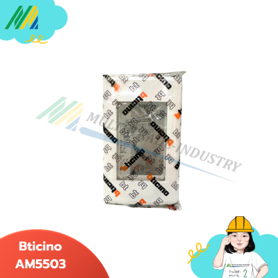 Cover Plate - Bticino