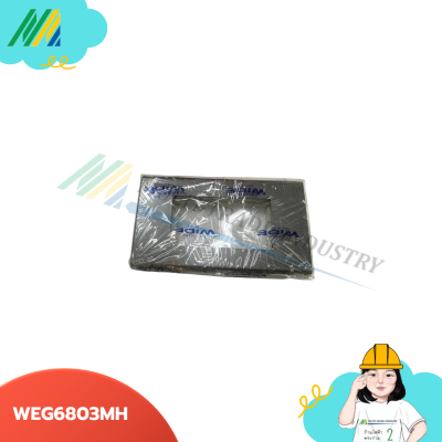 ฝาพลาสติก (สีเทา) WEG6801MH - Panasonic