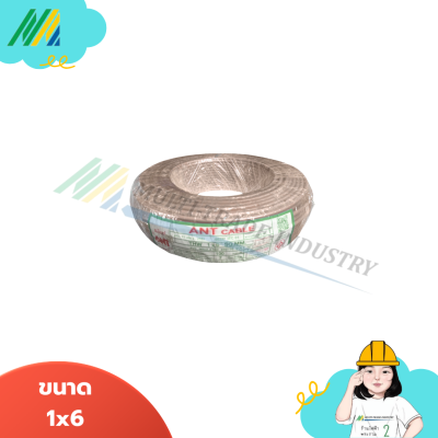 สายไฟ IEC01 THW 1x6 (สีน้ำตาล)