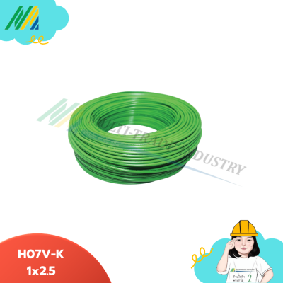 สายไฟ H07V-K 1x2.5 GR(สีเขียว) ยาว(100M) - CS DELTA