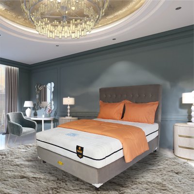 Best Koil Smart Pedic