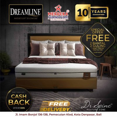 Dreamline Dr. Spine