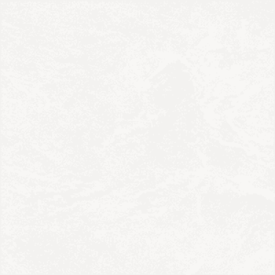 CHICKEN กระเบื้องปูพื้น 12" x 12" ไก่สาว/1 (11แผ่น/กล่อง)
