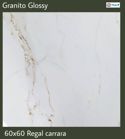 TARUNTO แกรนิตโต้ 60 x 60 ซม. REGAL CARRARA  (1.44 ตร.ม./กล่อง)