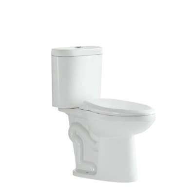 RASLAND สุขภัณฑ์สองชิ้น หน้ายาว กดบน 3/6 L [AQ 79555/9312-PR]