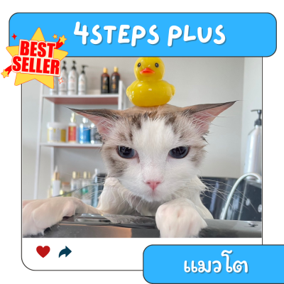 4STEPs PLUS(แนะนำ)