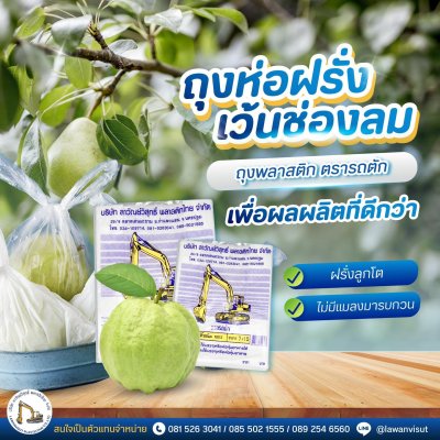 ถุงห่อฝรั่ง HDPE ตรารถตัก