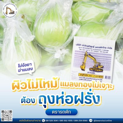 ถุงห่อฝรั่ง HDPE ตรารถตัก