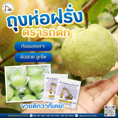 ถุงห่อฝรั่ง HDPE ตรารถตัก