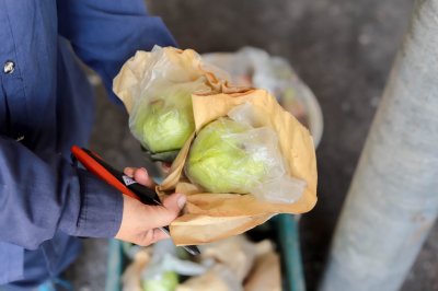 ถุงห่อฝรั่ง HDPE ตรารถตัก