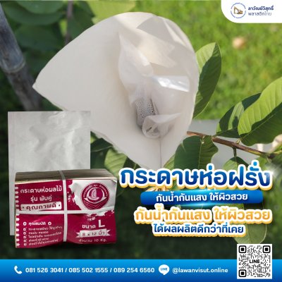 กระดาษห่อผลไม้ กระดาษห่อฝรั่ง ทนแดด ทนฝนได้ดี