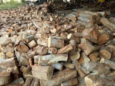 เปลือกไม้เชื้อเพลิง