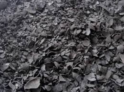 COCONUT SHELL CHARCOAL