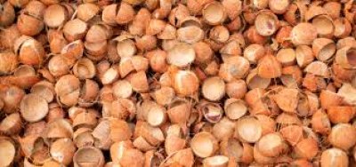 COCONUT SHELL FOR RENEWABLE ENERGY