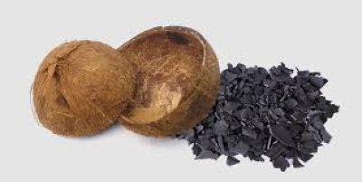 COCONUT SHELL FOR RENEWABLE ENERGY