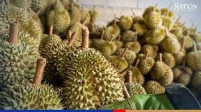 DURIAN
