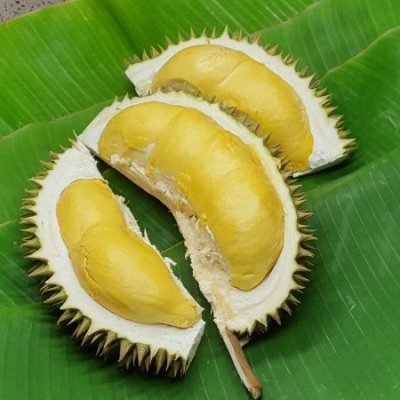 DURIAN