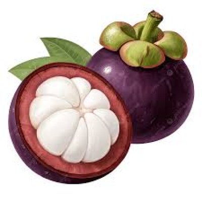 MANGOSTEEN