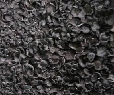PALM KERNEL CHARCOAL