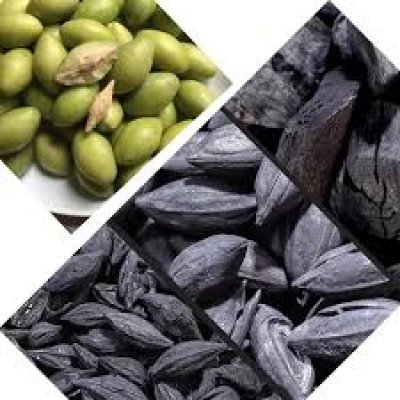 PALM KERNEL CHARCOAL