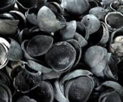 PALM KERNEL CHARCOAL